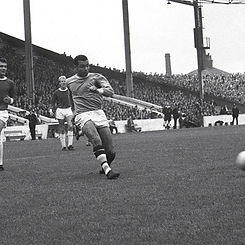 Stan Horne Large.jpeg