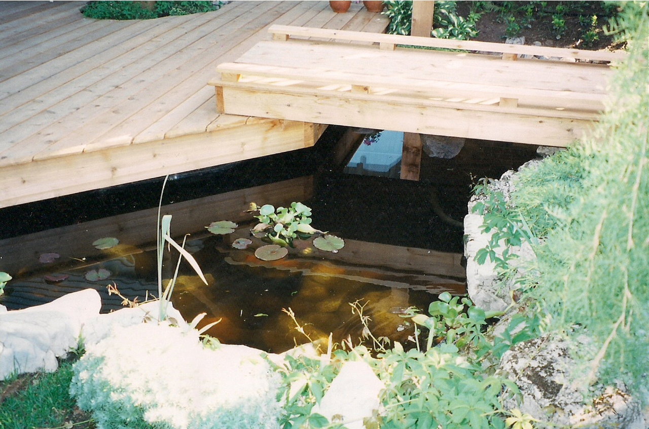Multi-Level Deck Pond & Bridge