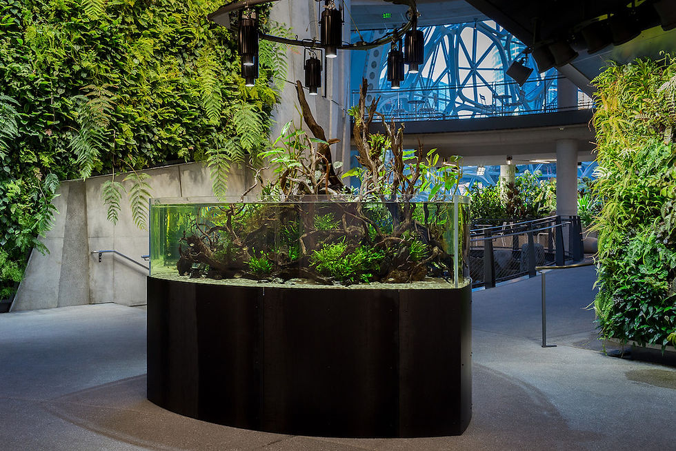 Aquarium with plants and driftwood, surrounded by lush green walls in a modern indoor setting. Blue structural beams in the background.