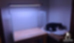 Aquarium location in home or office