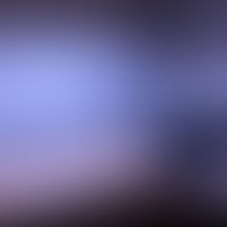 How to Choose The Best Location For Your Aquarium In Your Home or Office.