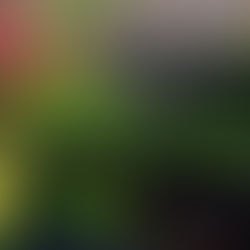 Recommended Freshwater Aquarium Water Parameters: Part 2