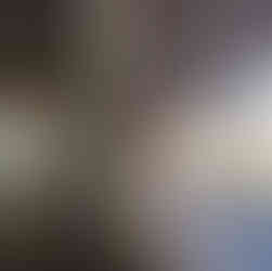 Biophilic elements incoporated into a multi use space at the nelson atkins art museum