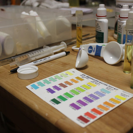 How to Fishless Cycle an Aquarium. 