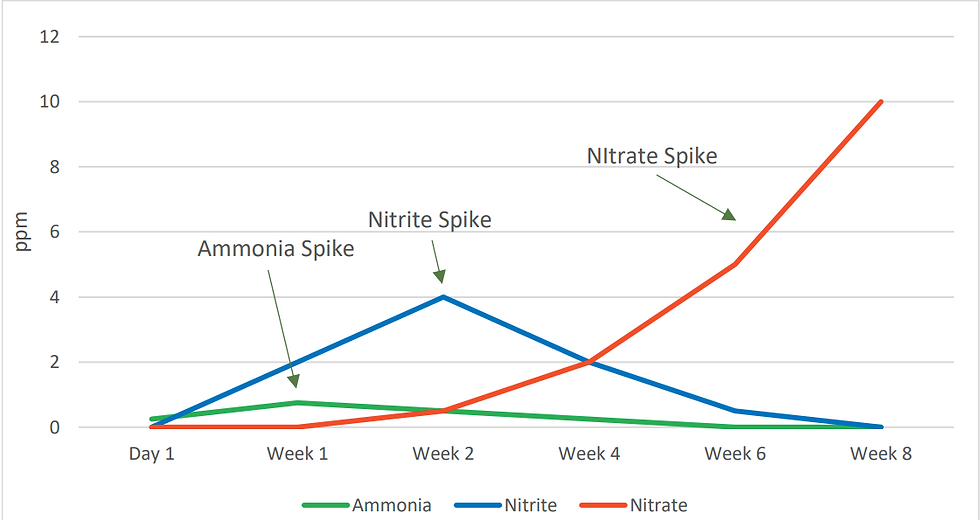 Graph showing ammonia, nitrite, and nitrate levels over 8 weeks. Green, blue, and red lines with labeled spikes. Weeks on X-axis, ppm on Y-axis.