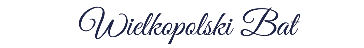 logo_turnieju_Obszar roboczy 1_edited.png