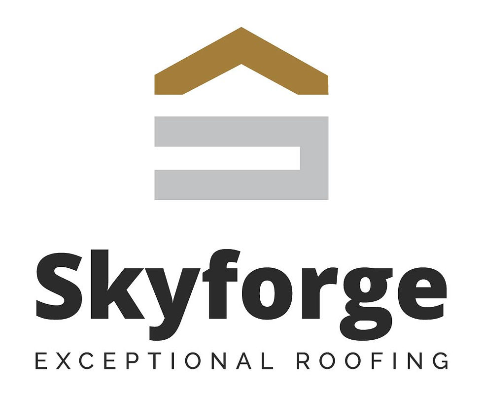 Skyforge_Logo-07.jpg