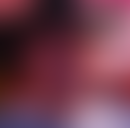 2911 Media Press Release: Chas Collins "This Bar Sucks"