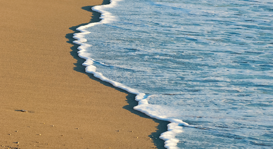 Copy of Logo for display on Google and Social Media (2).png