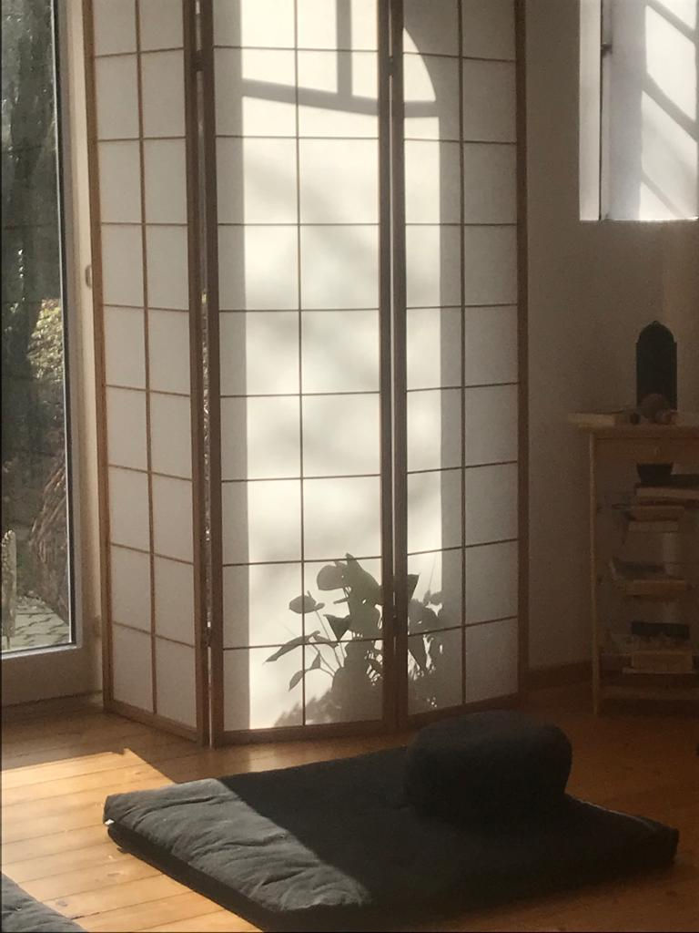 ZENDO11.jpeg