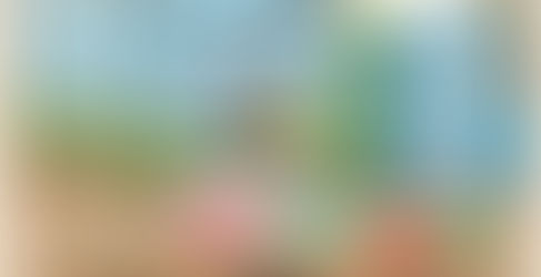 Michimo – Cát đậu nành cho mèo an toàn, sạch mùi, thân thiện môi trường