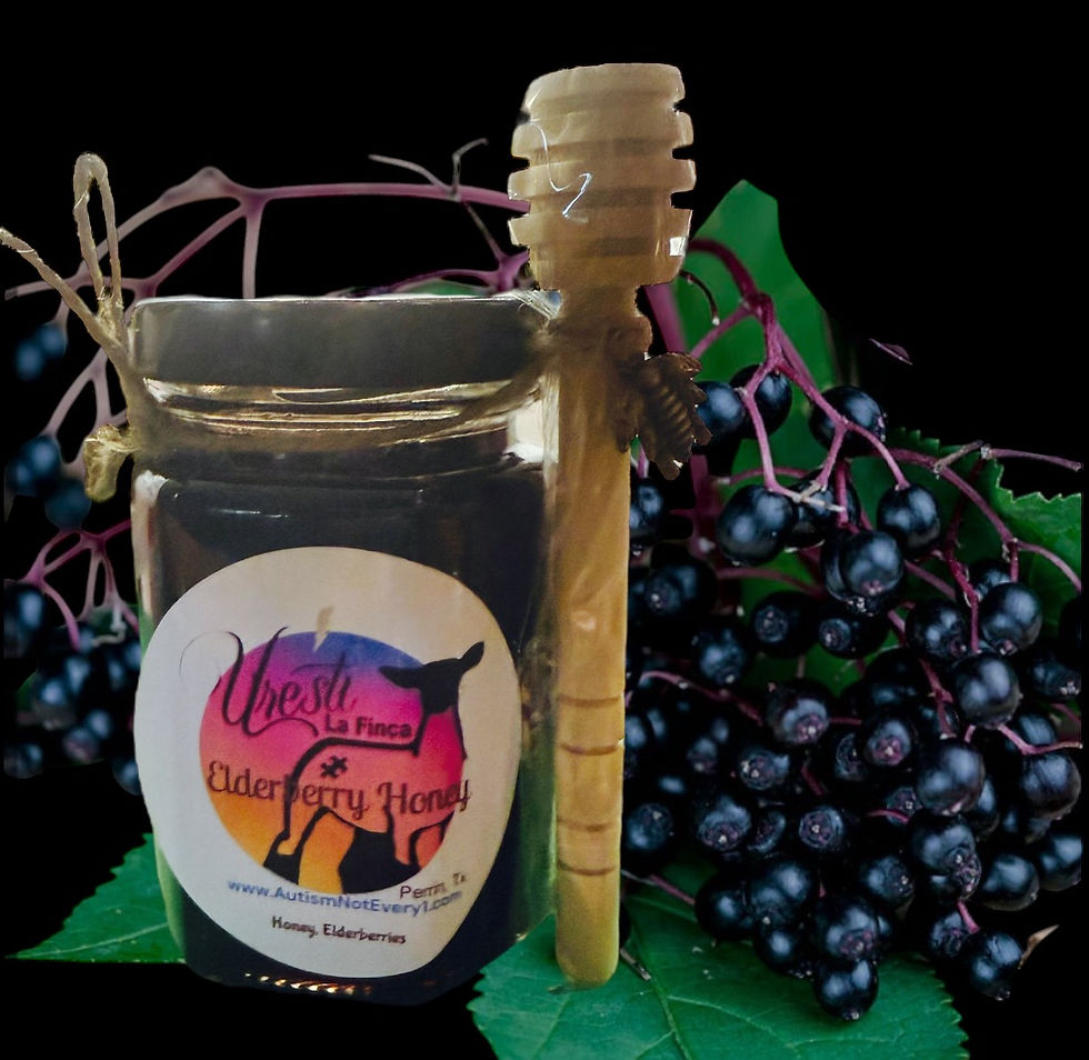 Elderberry 4oz with honey dipper