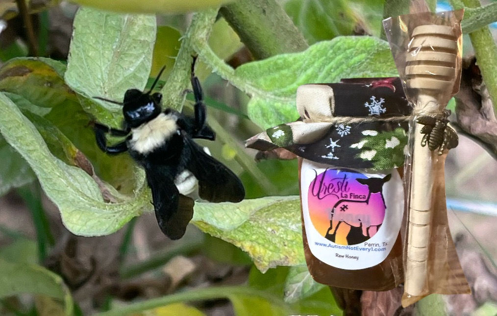 Raw Honey 6oz with honey dipper