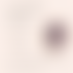 30 avril : conférence internationale