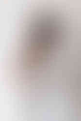 Sarasota Newborn Photographer | mom and dad holding baby