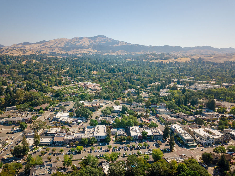 aerial.jpg