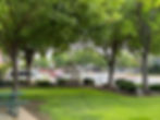 IMG_7656.JPEG