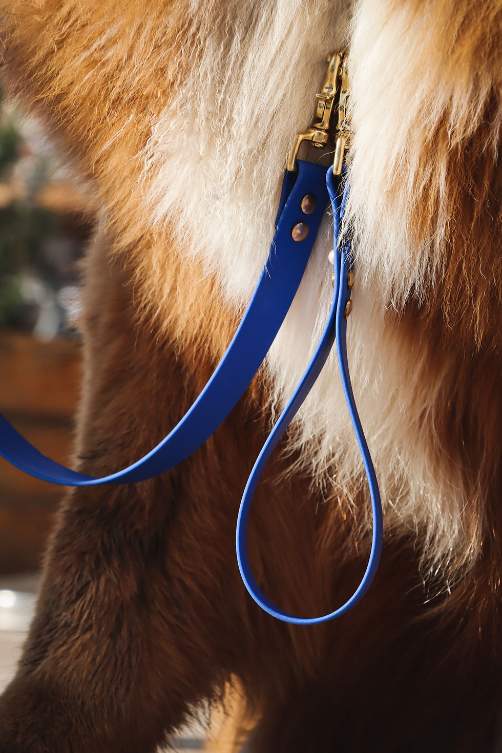 Thumbnail: LEASH & HANDLE Set