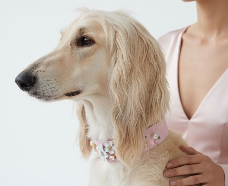 Guide des tailles : comment mesurer son chien