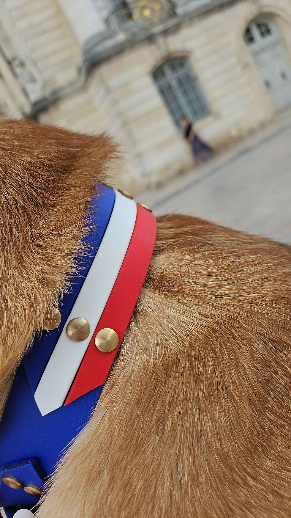 Thumbnail: BASTILLE
