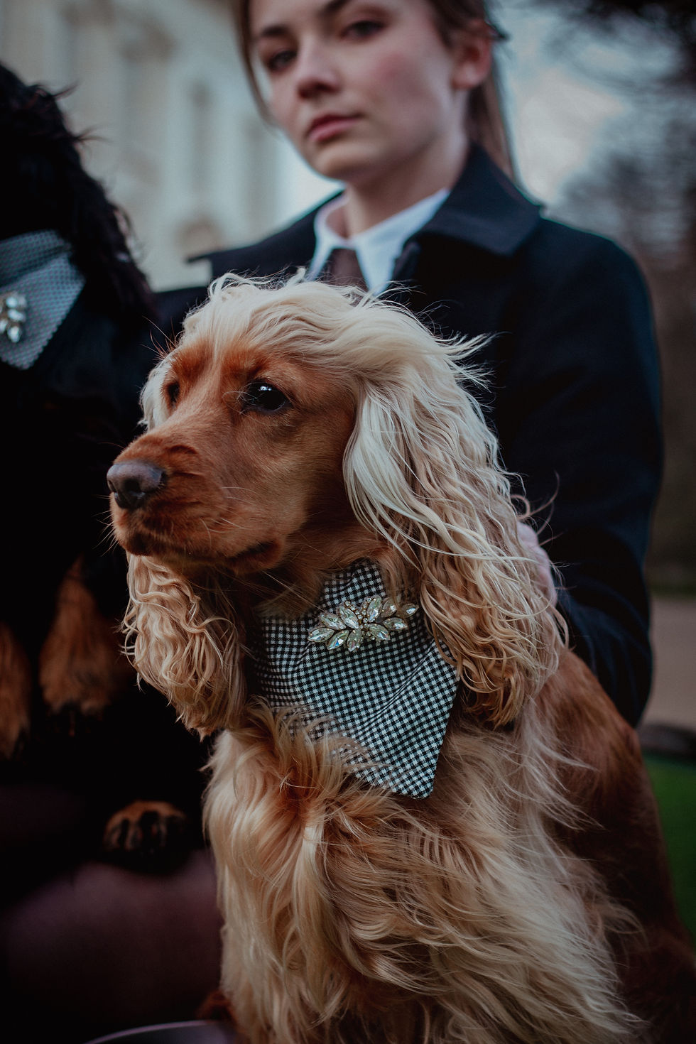 Miniature : Bandana Charlotte