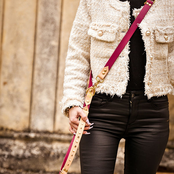 laisse de luxe, laisse biothane, laisse 3 points, laisse main libre, laisse biothane, laisse double, laisse waterproof, laisse solide, laisse avec poignée, laisse personnalisé, laisse sur mesure