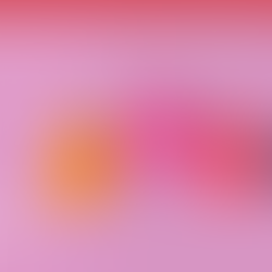 ¡Presentamos nuevo boletín de inmigración empresarial de Antonini & Cohen!