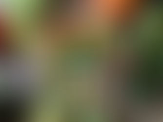 10 Things that Happen to Your Body If You Stop Eating Red Meat