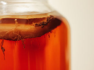 The Good Side of Bacteria