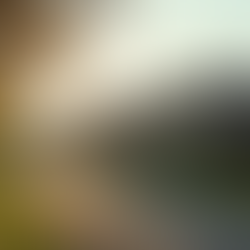 Assessing Subsidence Risks in Mansfield Homes Linked to Coal Mining Activities