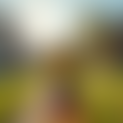 The Essentials of Property Survey Basics