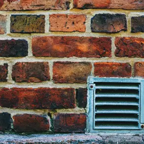 Can a Surveyor Spot Damp, Mould, or Roof Issues Before I Buy?