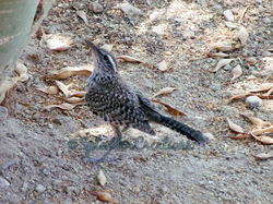 GEDC2864_wm.jpg