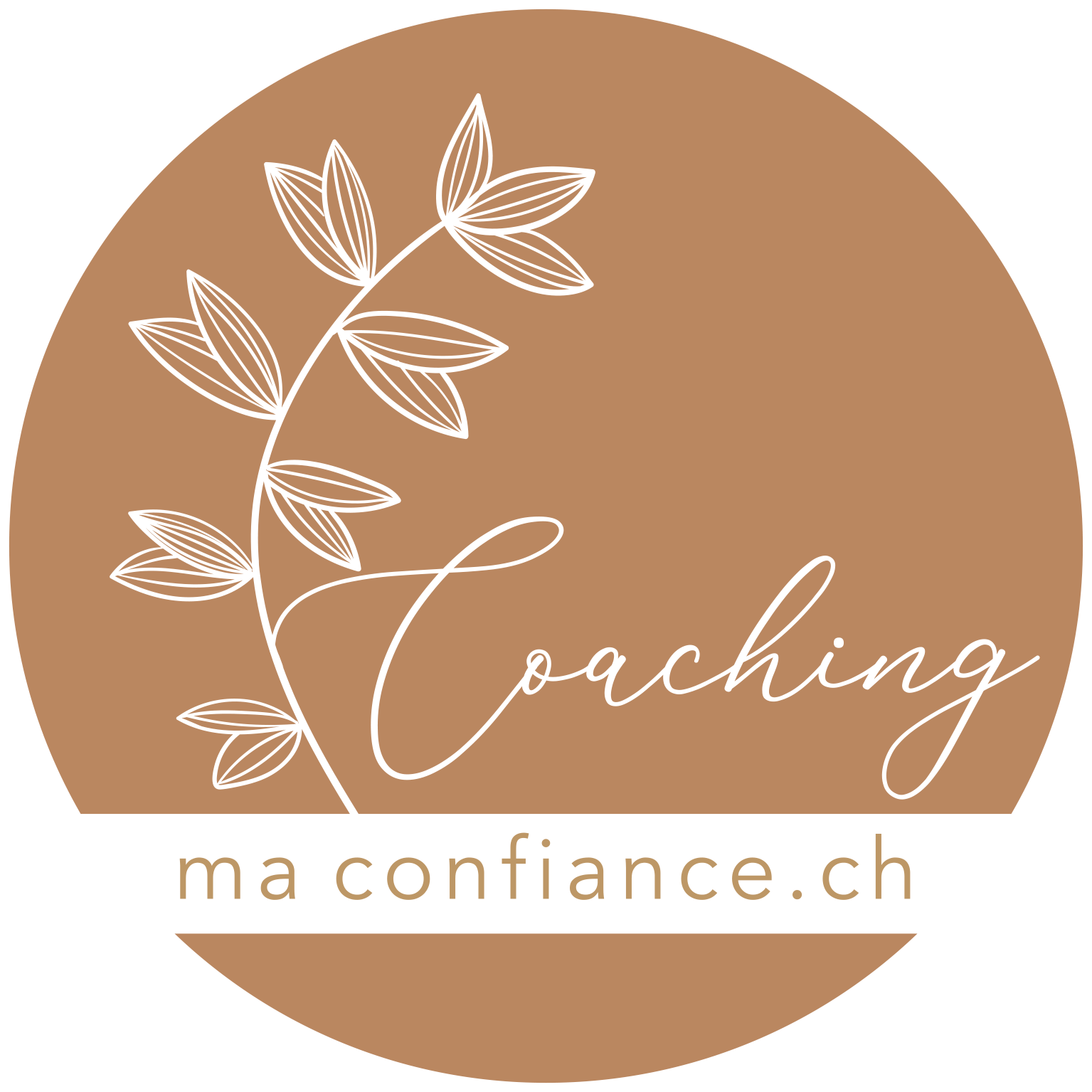 Logo-maconfiance.ch.gif