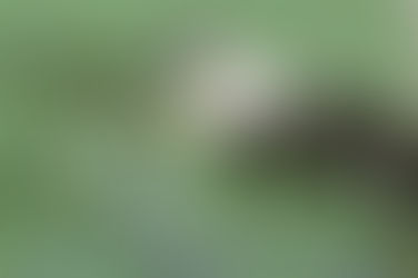 Najhuczniejsze literackie Imieniny w Warszawie 21.06.2025