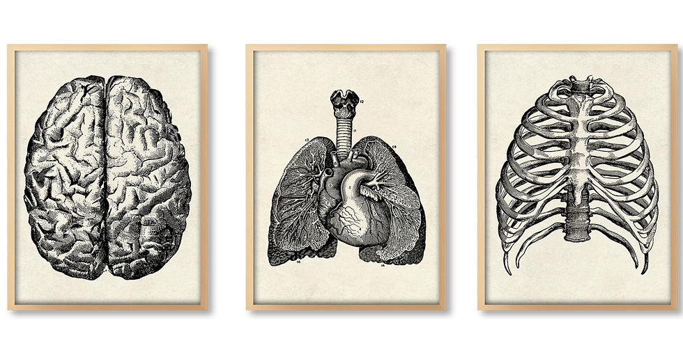 God is a woman: Female Autonomy in Chaucer’s The Canterbury Tales