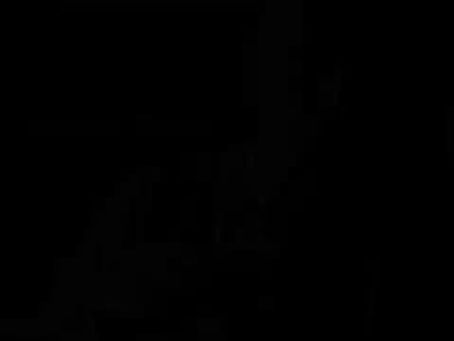 Optima Cobre Eb Soprano Whistle