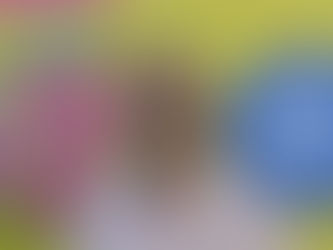 Carnaval na Barra vai continuar em 2024