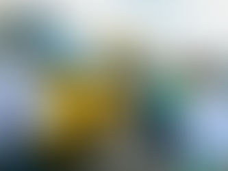 Com mais dez novos ônibus, frota do transporte escolar de Conquista é a maior da história