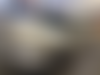 本日、晴天なり☀️