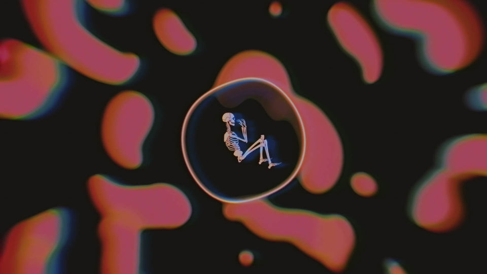 MAIN (0;00;18;27).jpg