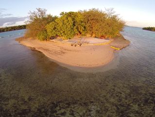 Flights to Tonga, Travel Specials on Now!