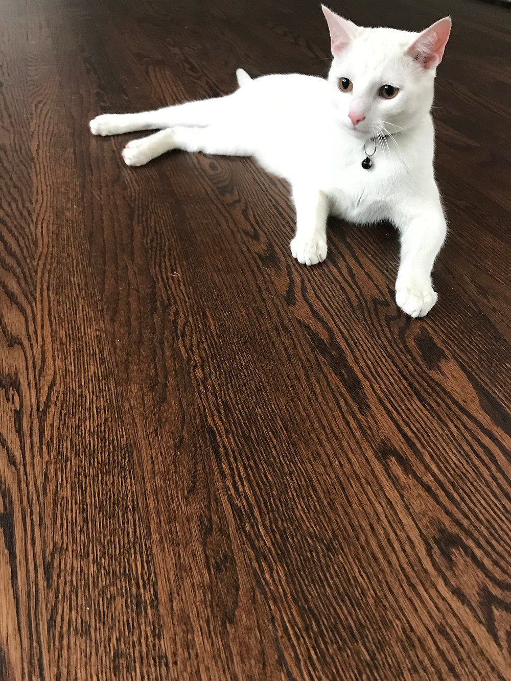 Red Oak flooring in Oakwood, Ohio