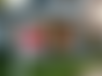 Preparing for Your First Home Purchase