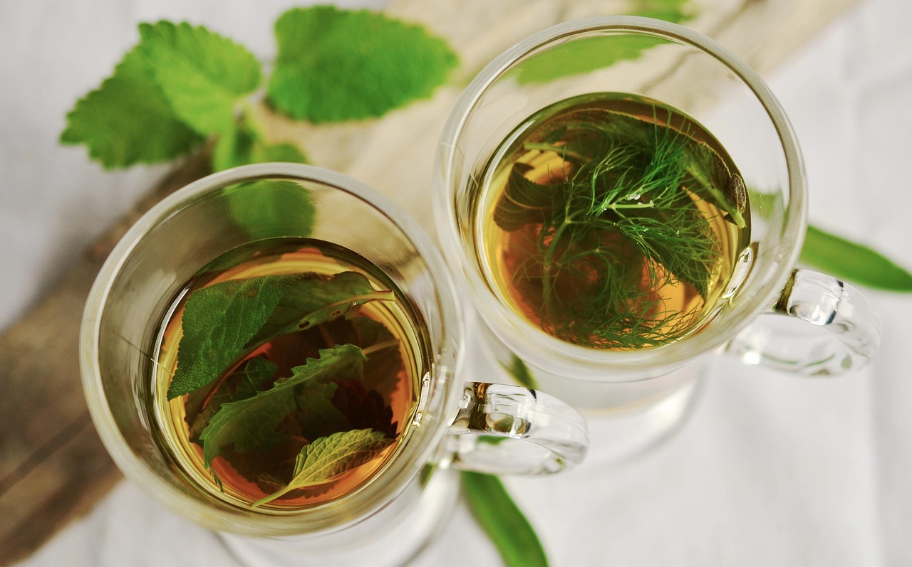 Dr. Jordan Kneiff - Yggdrasil Naturopathic Medicine Minnetonka MN