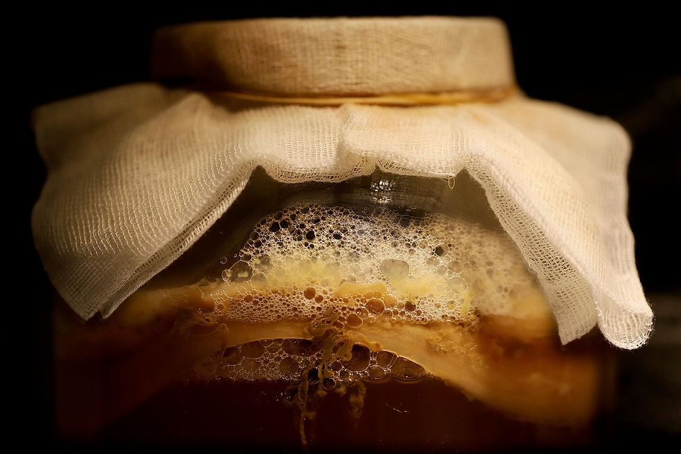 Glass of fermented kombucha, representing the fermented foods and synbiotics discussed in this post