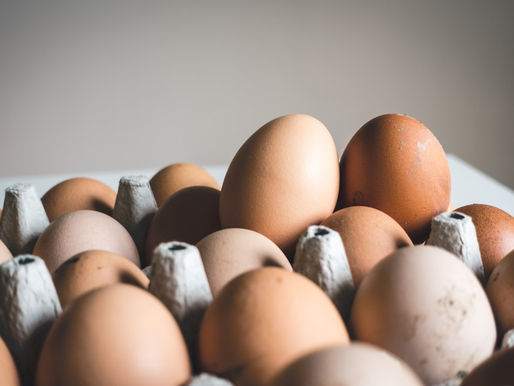 What a new aging study on phosphatidylcholine tells us about mitochondria, choline, and getting older