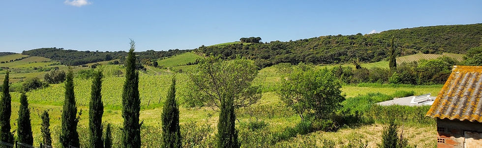 Lespecier, Cabrerolles 34480 (23).jpeg