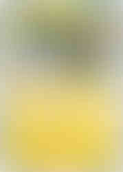 Pokémon TCG: Heat Wave Arena