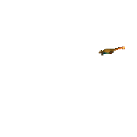 200w (1).gif